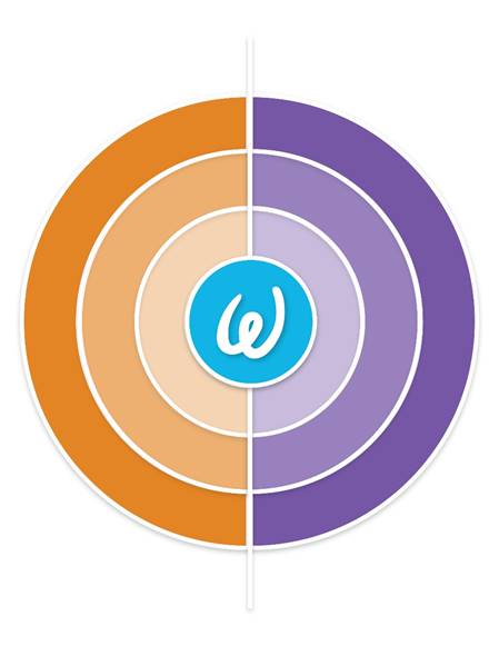 Wellness Index 2016
