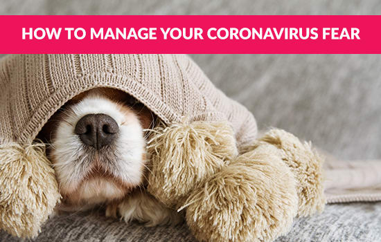 How to Manage your Coronavirus Fear, Marshall Connects